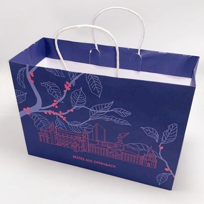Good price Colored Craft Custom Printed Paper Bags Recycled With Sticky Paper Handle online